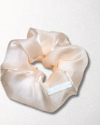 goody Satin Glow 淺粉緞光髮圈